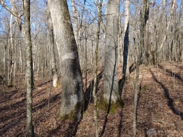 1459 State Route 73, Peebles, OH 45660 - #2