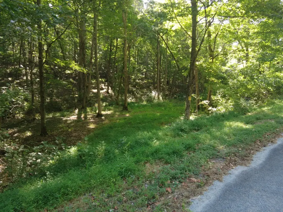 16 Black Hollow Road, Peebles, OH 45660 - #3