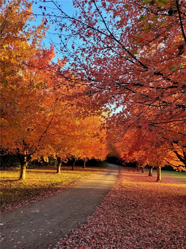 1045 W State Route 73, Clear Creek, OH 45066 - #3