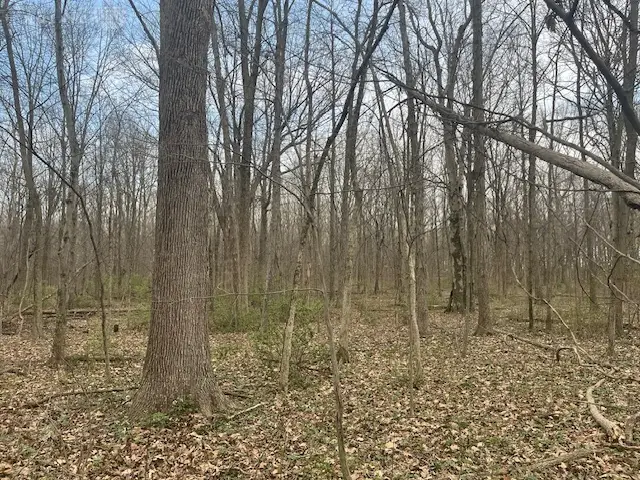 5097 Prices Creek Road, Lewisburg, OH 45338 - #3