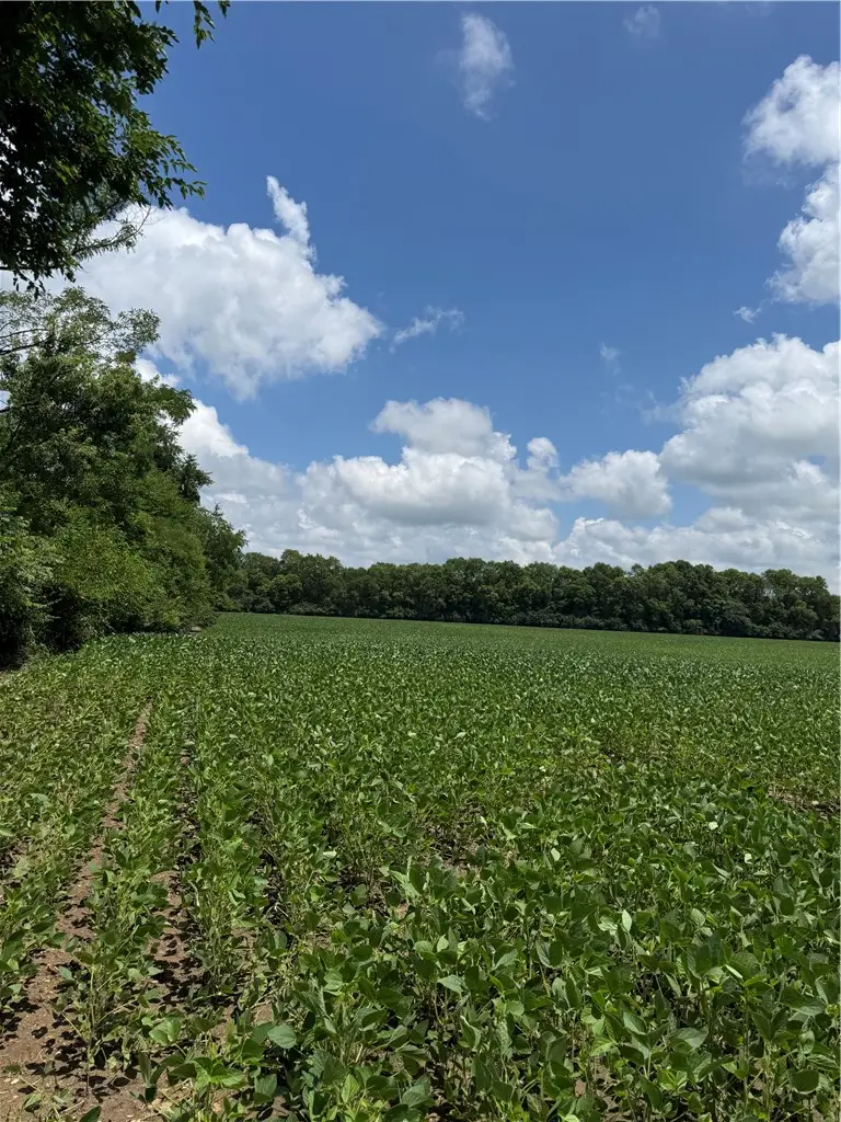 0 Lower Valley Pike, Bethel, OH 45344 - #2