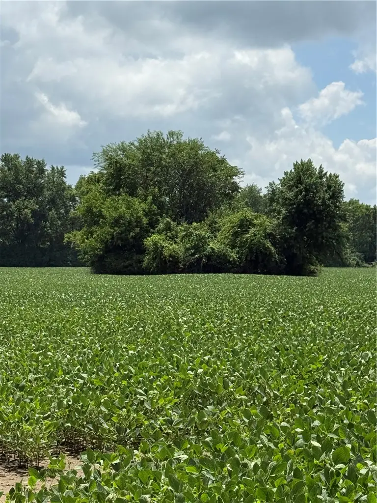 0 Lower Valley Pike, Bethel, OH 45344 - #3
