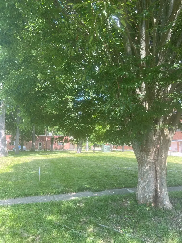 00 Livermore St (Lot 488) Livermore Street, Yellow Springs, OH 45387 - #3