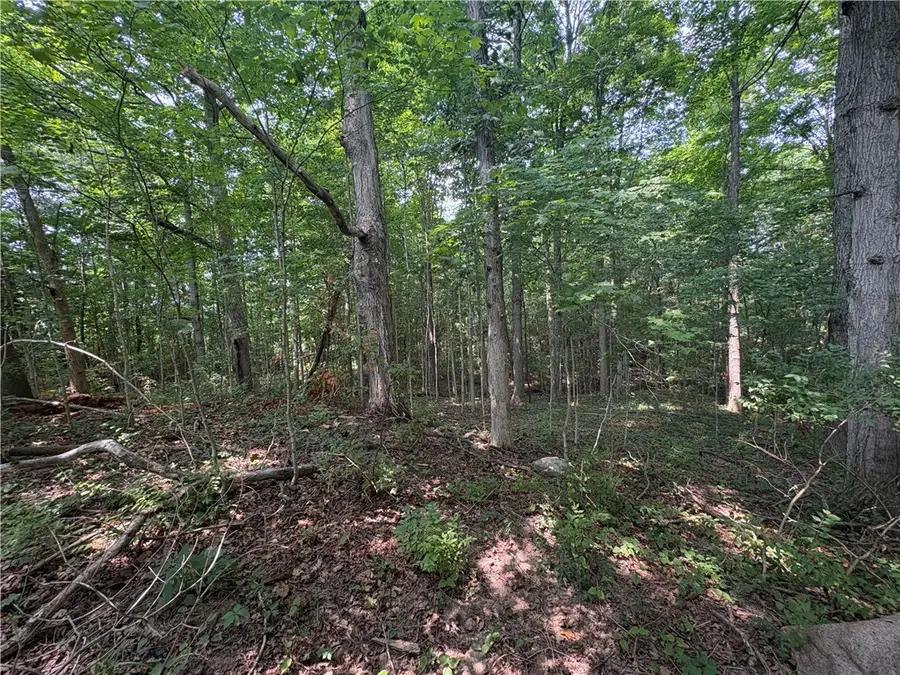 0 Licklider Road, Conover, OH 45317 - #2