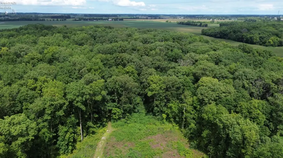 10701 Strecker Road, Bellevue, OH 44811 - Image #2