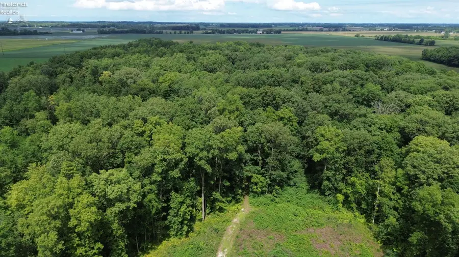 10701 Strecker Road, Bellevue, OH 44811 - Image #3