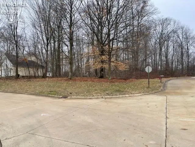 0 Stony Brook, Wakeman, OH 44889 - #1