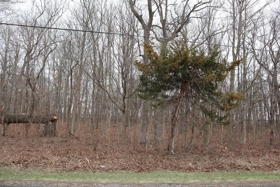 12310 Patton Tract Road, Monroeville, OH 44847 - #2