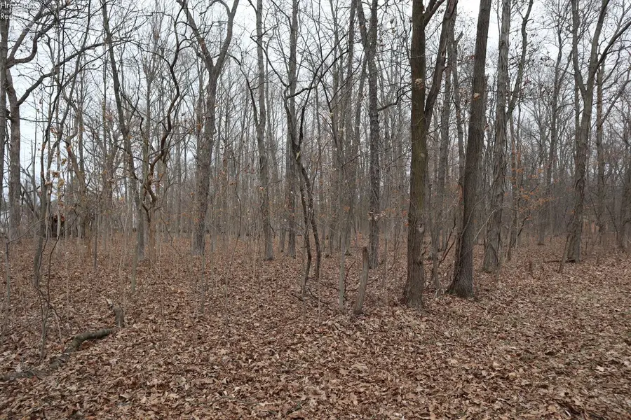 12310 Patton Tract Road, Monroeville, OH 44847 - #3