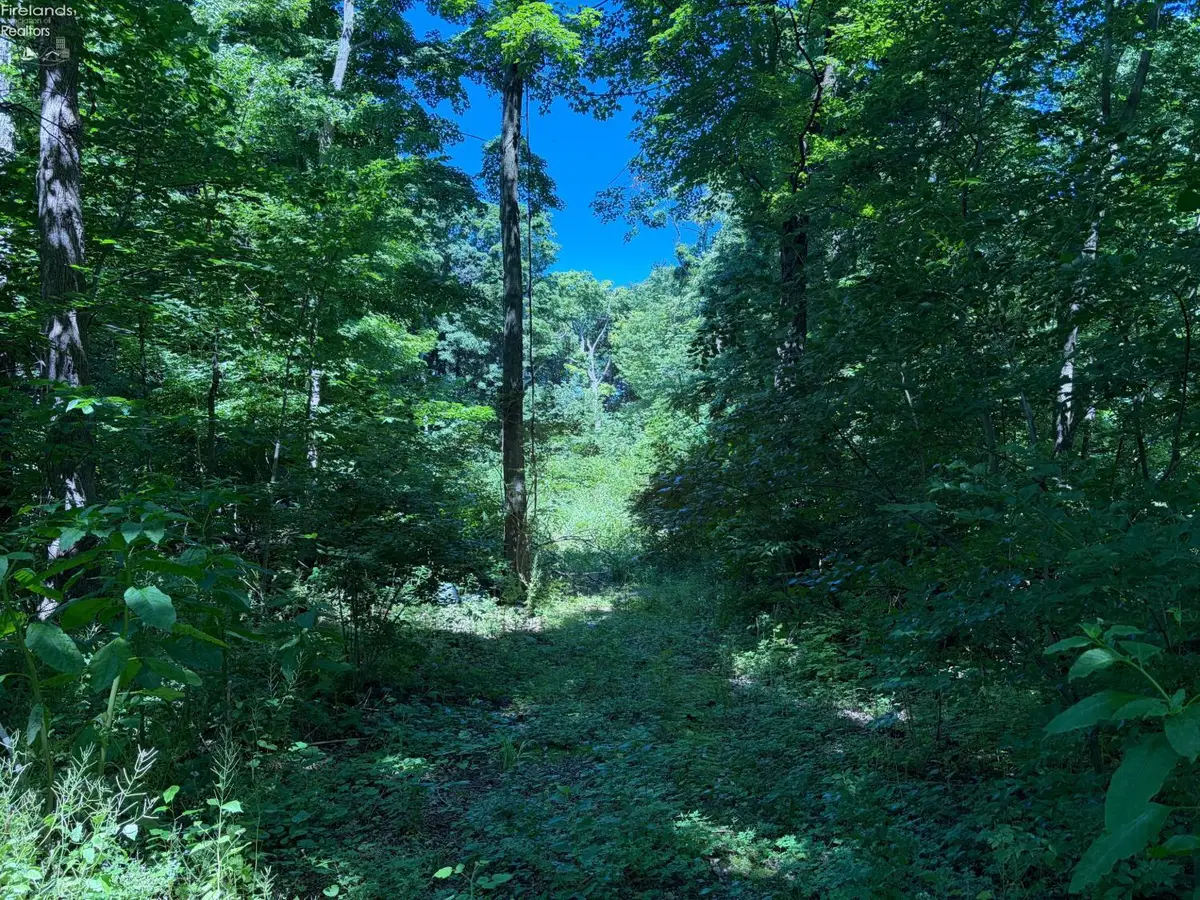 693 New Colony, Put In Bay, OH 43456 - #1