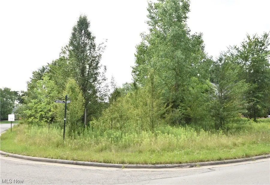 Saddlebrook Lot 123 Drive, Boardman, OH 44512 - Image #2