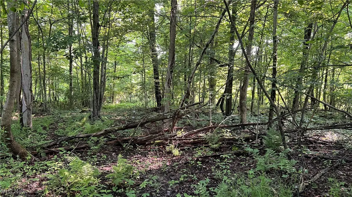 Orchard Street, Andover, OH 44003 - Image #1