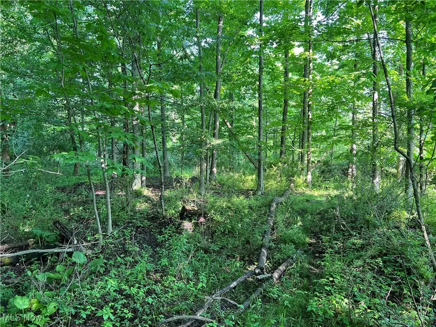 Orchard Street, Andover, OH 44003 - Image #2