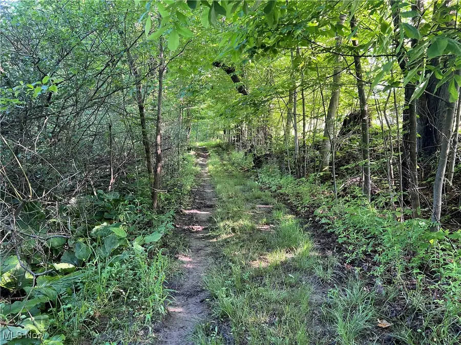 Orchard Street, Andover, OH 44003 - Image #3