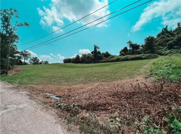 67620 Kirkwood Heights Road, Bridgeport, OH 43912