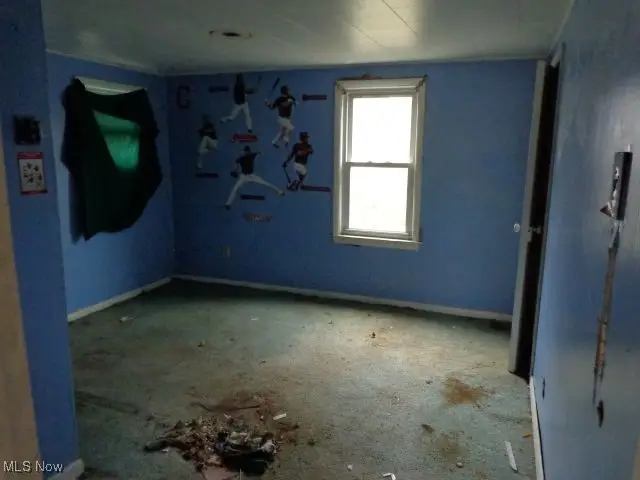 590 Flora Avenue, Akron, OH 44314 - Image #3