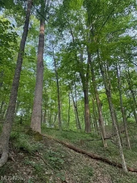 1445 E Branch Road, Malta, OH 43758 - Image #3