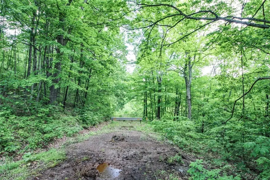 Tract 19 Zion Ridge Road, Marietta, OH 45750 - Image #2