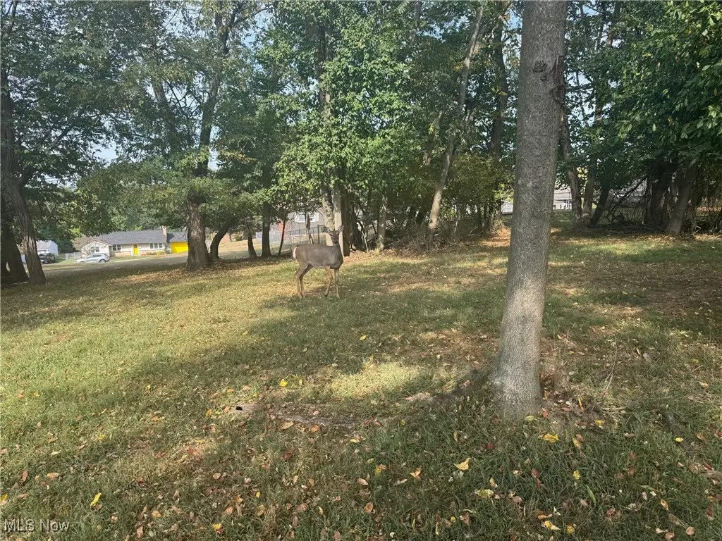 Harding Rd- 36b, Zanesville, OH 43701 - #1