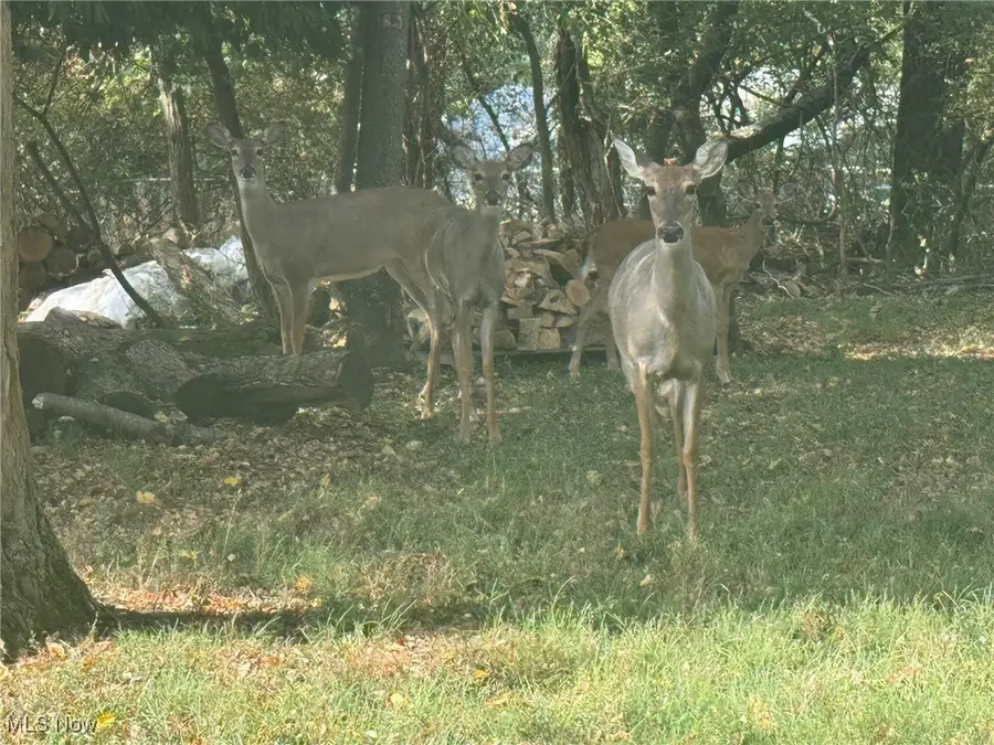 Harding Rd- 36b, Zanesville, OH 43701 - #2