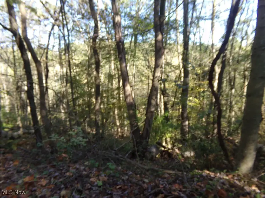 7822 Hilltop Nw Drive, Orange, OH 44708 - Image #2