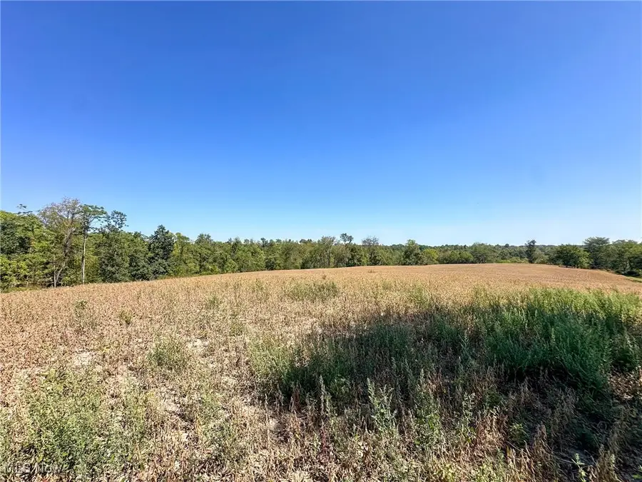 0 Black Road, Hopewell, OH 43746 - Image #2