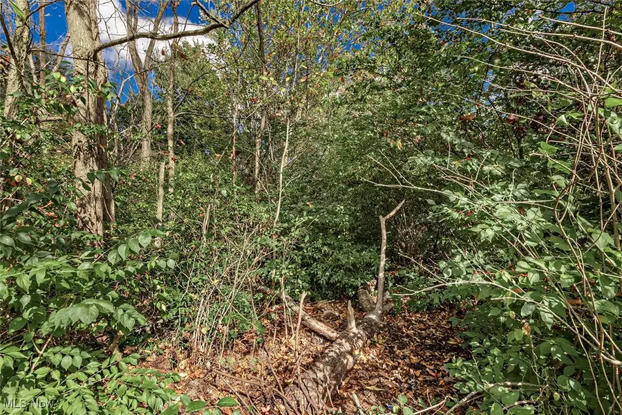 V/L Usher Road, Olmsted Township, OH 44138 - Image #2