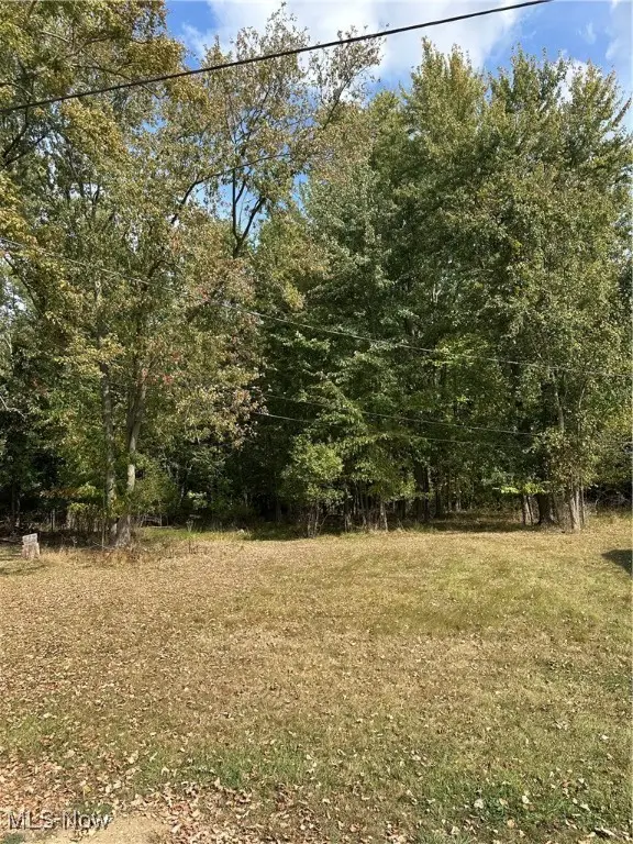 Walnut Drive, Chippewa Lake, OH 44215