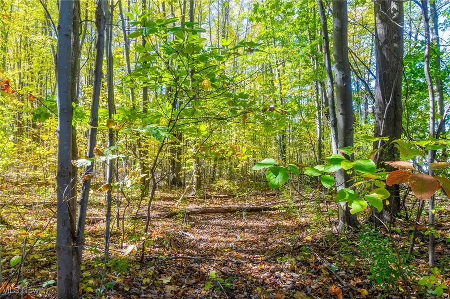 529 Furnace Road, Conneaut, OH 44030 - Image #3