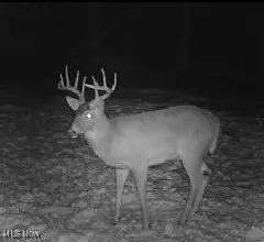 Prider Road, Kimbolton, OH 43749 - Image #3