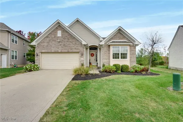10497 Kerwick Court, Reminderville, OH 44202