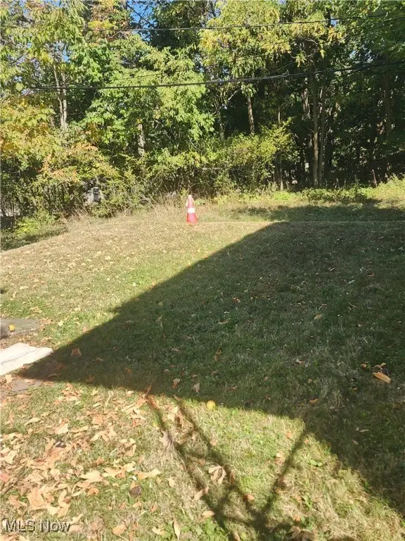 24691 Hawthorne, Euclid, OH 44117 - Image #3