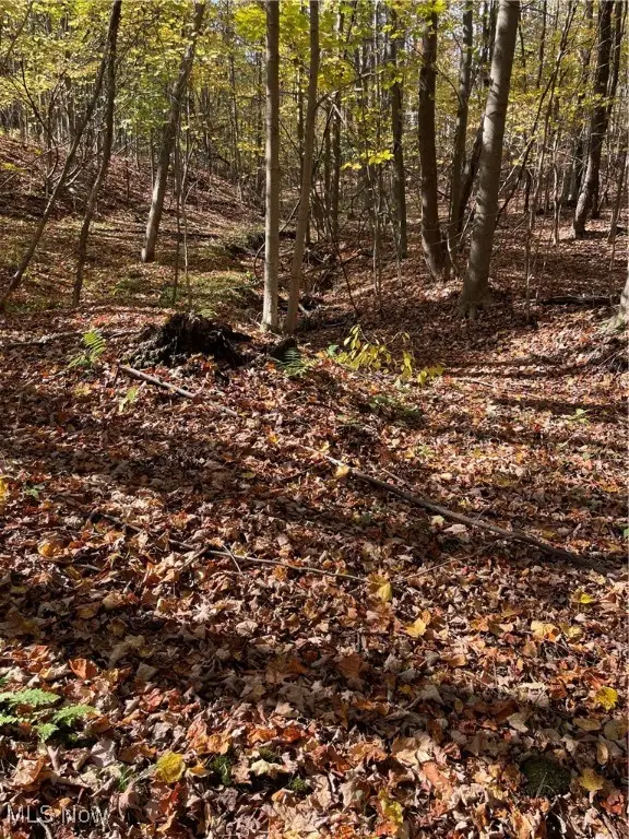 S/l 5 Big Creek Ridge, Chardon, OH 44024 - Image #1