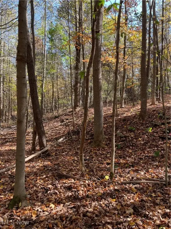 S/l 5 Big Creek Ridge, Chardon, OH 44024 - Image #2