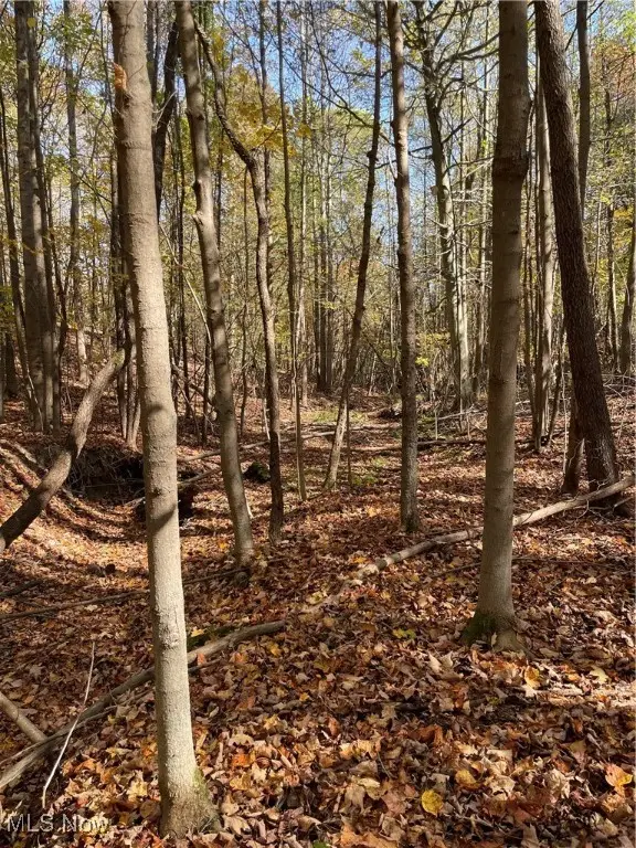 S/l 5 Big Creek Ridge, Chardon, OH 44024 - Image #3