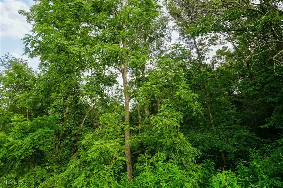 Township Rd 51, Somerset, OH 43783 - Image #3