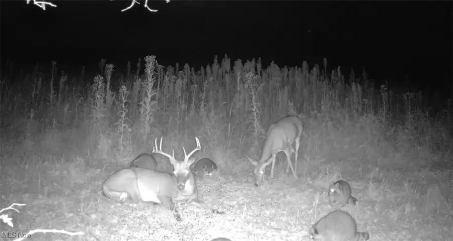 Emerick Road, Kensington, OH 44427 - Image #3