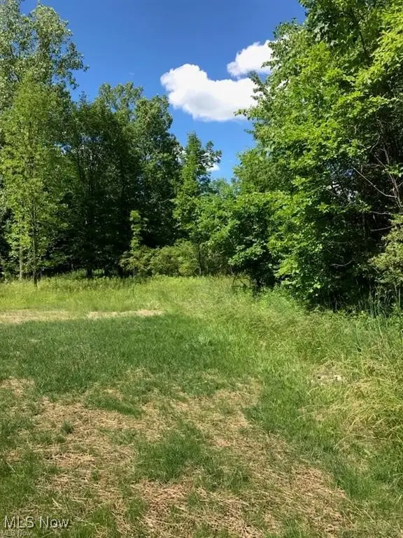 VL Lunn Road, Strongsville, OH 44149 - Image #3