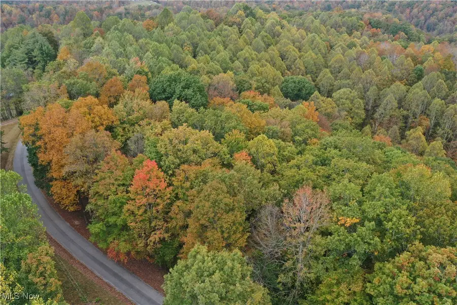 731 Riffle Run Road, Grantsville, WV 26147 - Image #2