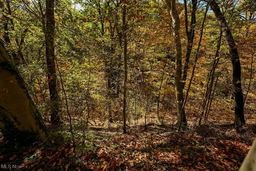 745 Canyon Trail, Akron, OH 44303 - Image #3