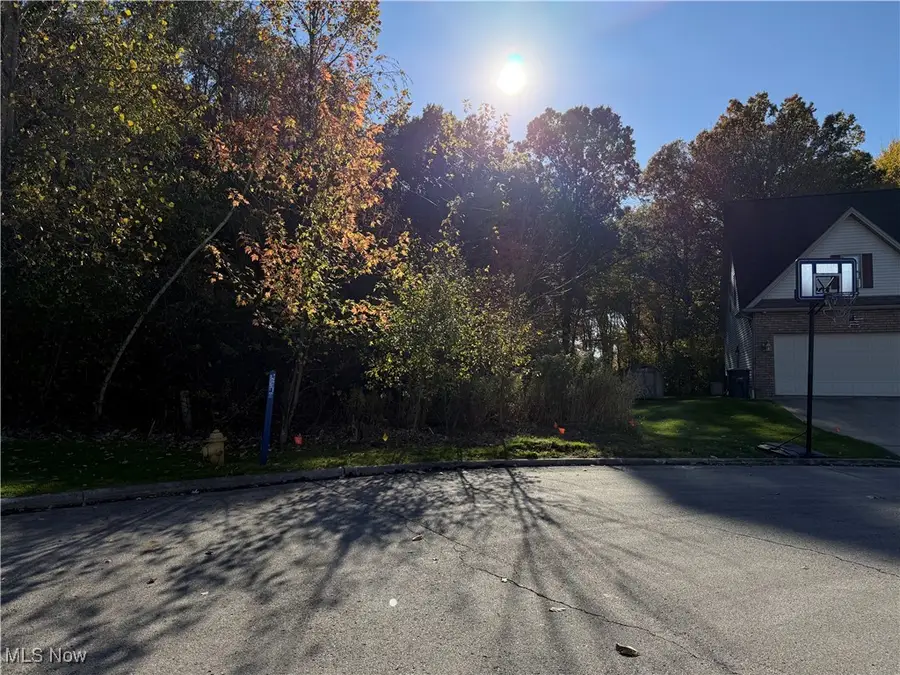 1458 Birch Run Drive, Warren, OH 44483 - Image #2