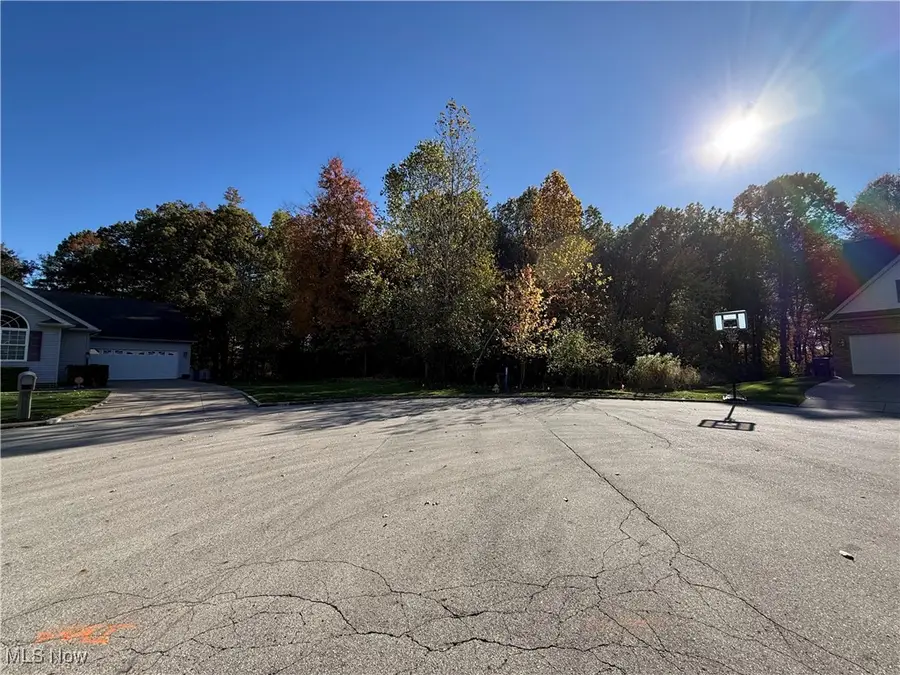 1458 Birch Run Drive, Warren, OH 44483 - Image #3