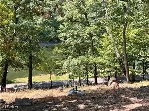 200 Club Drive, Washington, WV 26181 - Image #1