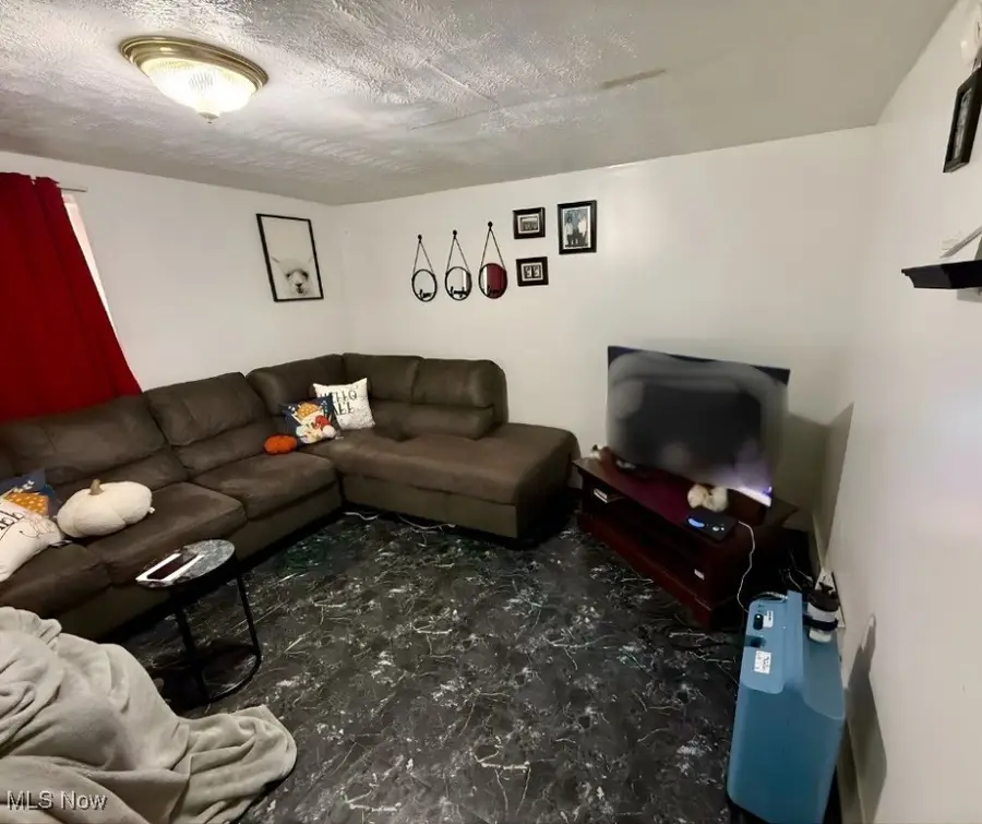 477 Henry Street, Painesville, OH 44077 - Image #2