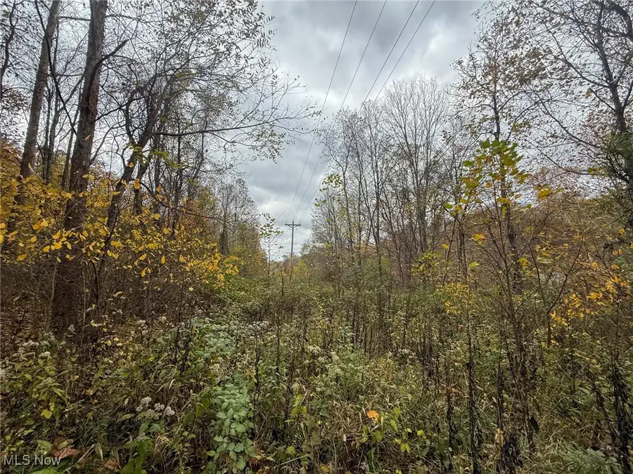 Pearl Wood Rd, Albany, OH 45710 - Image #2