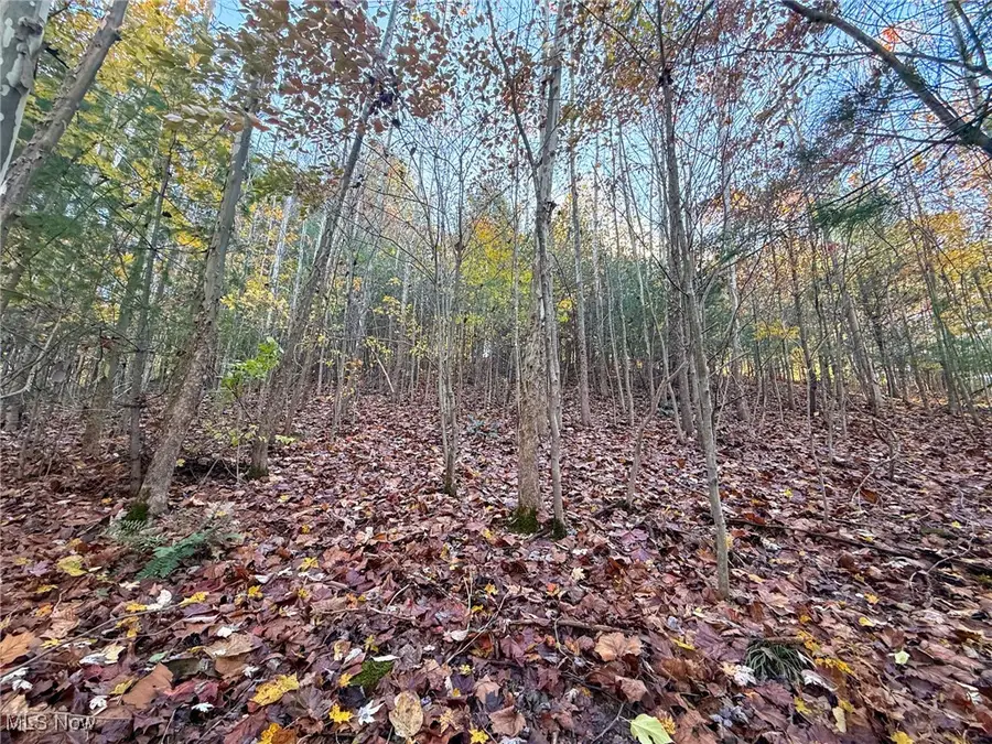 Schmeltzer Rd, Marion, OH 43111 - Image #3