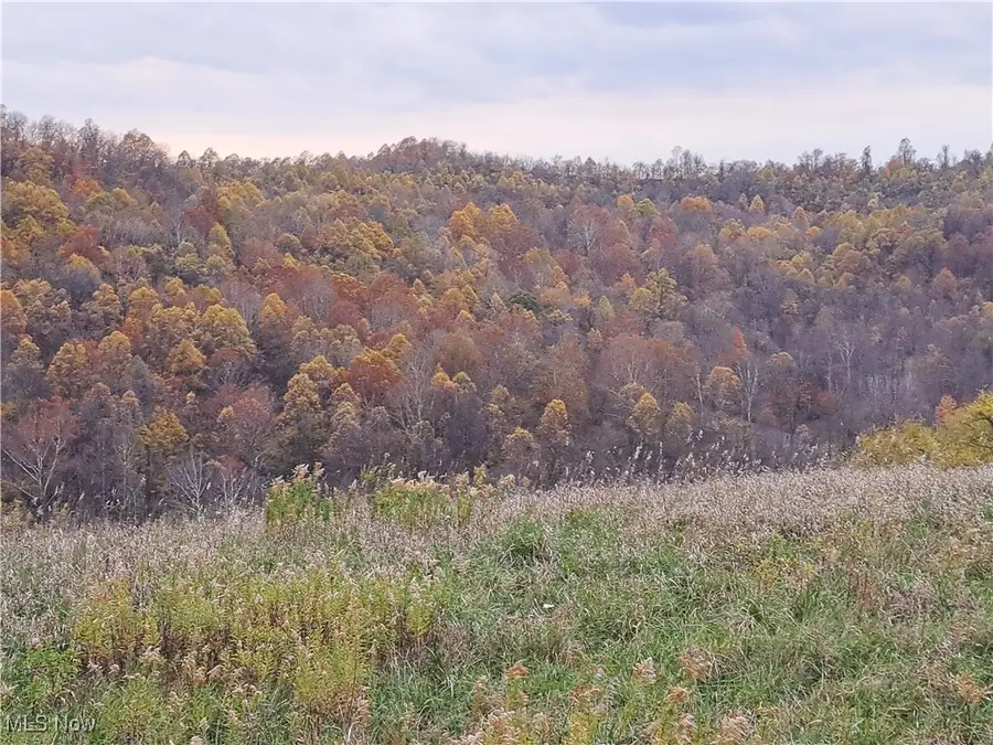 0 Winstead Road, Quaker City, OH 43773 - Image #3