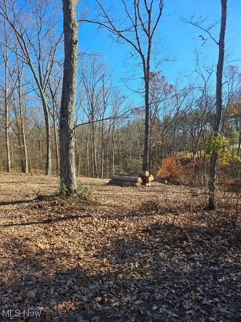 0 St. Rt. 339, Belpre, OH 45714