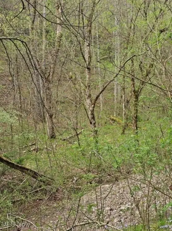 1247 Rocky Branch Road, Looneyville, WV 25259 - Image #2