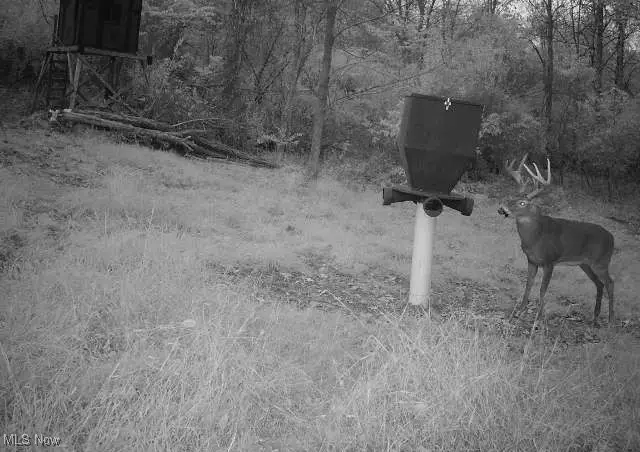 14405 State Route 83, Coshocton, OH 43812 - Image #2